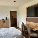 Steinbichler 4*