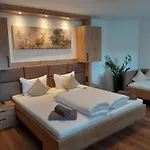 Steinbichler 4*