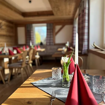 Steinbichler 4* ヌスドルフ・アム・アターゼー