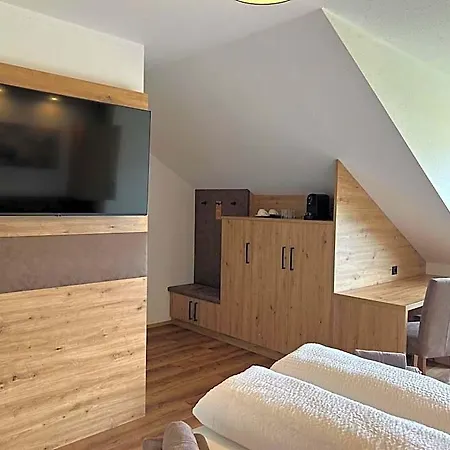 Steinbichler 4*